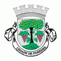 Camara Municipal de Paredes logo vector logo