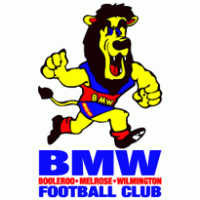 BMW Football Club logo vector logo