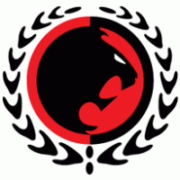 Gracie JIu Jitsu logo vector logo