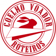 Coelho Voador logo vector logo