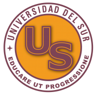 Universidad del Sur logo vector logo