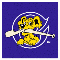 Charleston RiverDogs logo vector logo