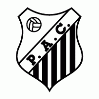 Palmital Atletico Clube de Palmital-SP logo vector logo