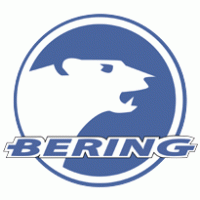 Bering logo vector logo