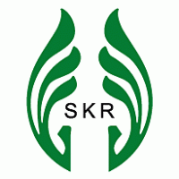 SKR logo vector logo
