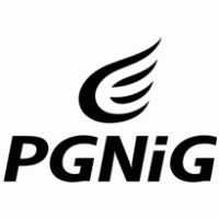 PGNiG logo vector logo