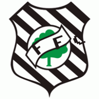 Figueirense Futebol Clube logo vector logo