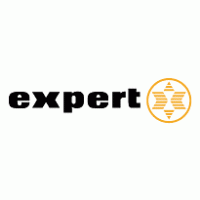 Expert logo vector logo