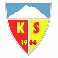 Kaiserispor logo vector logo