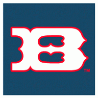 Boise Hawks logo vector logo
