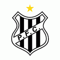 Palmeiras Futebol Clube de Sao Joao da Boa Vista-SP logo vector logo