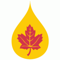 Canadian Hi Tech Lubricants logo vector logo