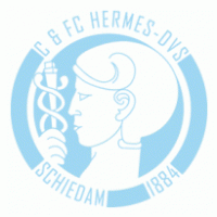 Hermes DVS logo vector logo