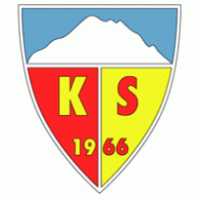 Kayserispor logo vector logo