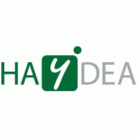 HAYDEA – Transforming Business Processes logo vector logo