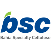 BSC logo vector logo