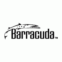 Barracuda logo vector logo