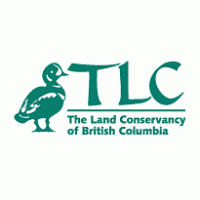 TLC logo vector logo