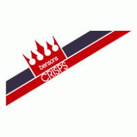 Bensons Crisps logo vector logo