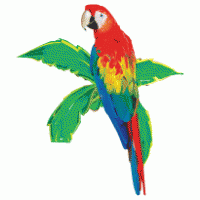 parrot logo vector logo