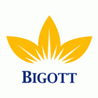 Bigott logo vector logo