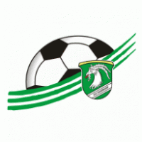 USC Eugendorf logo vector logo
