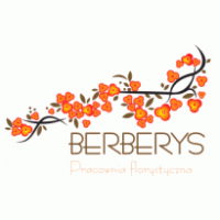 Berberys logo vector logo