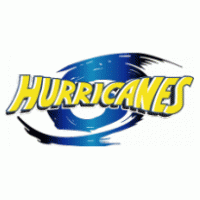 Hurricanes logo vector logo
