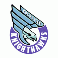 Rochester Knighthawks logo vector logo