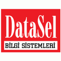 DataSel Bilgi Sistemleri logo vector logo