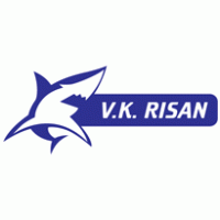 VK RISAN logo vector logo