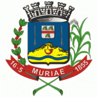 Brasão de Muriaé / MG / Brasil logo vector logo