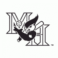 Medicine Hat Blue Jays logo vector logo