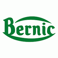 Bernic logo vector logo