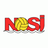 NSI Runavik logo vector logo