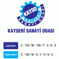 Kayso logo vector logo