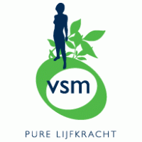 VSM logo vector logo