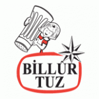 Billur Tuz logo vector logo