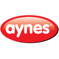 Aynes logo vector logo